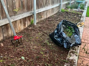 Cleanups by Keith Dalke for Cathy O. in San Diego, CA