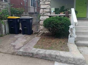 Bush Trimming by Lori Bremenkamp for Lori B. in Kansas City, MO