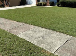 Joseph B.'s Lawn Care service result