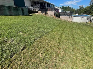 Sam K.'s Lawn Service service result