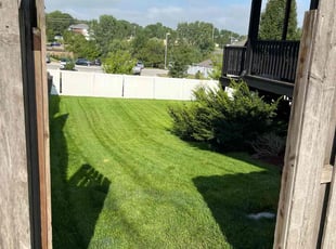 Tricia H.'s Lawn Mowing Service service result