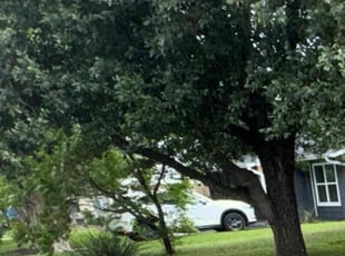 Leaf Removal by Franklin Garcia for Keatha F. in Austin, TX