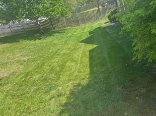 Carole E.'s Lawn Maintenance service result