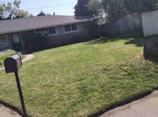 Seren O.'s Lawn Service service result