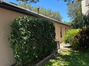Elizabeth S.'s Bush Trimming service result