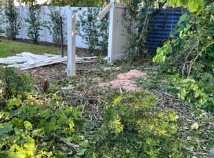 Cleanups by Hector's Lawncare C for Casey H. in Orlando, FL