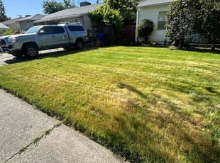 Cleanups by Gabriel Aldrete for Philip Y. in Sacramento, CA
