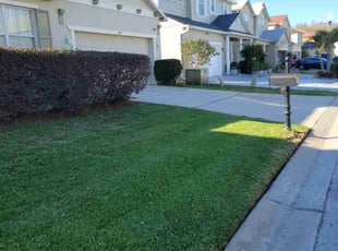 Sherry D.'s Lawn Service service result
