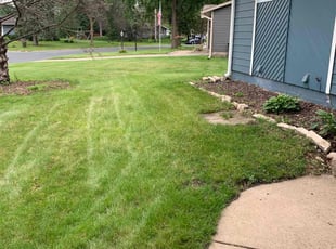 Eurana R.'s Yard Cutting service result