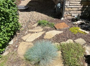 Cleanups by Christopher Coleman for alexandra T. in Denver, CO