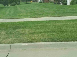 Corrine H.'s Lawn Maintenance service result