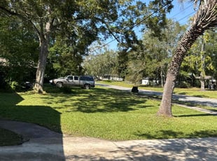 Eileen M.'s Lawn Maintenance service result