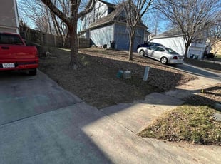 Leaf Removal by Sebastian Carpio for Sherry M. in Parkville, MO