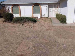 Bush Trimming by Edgardo Canseco for Kelly N. in Glendale, AZ