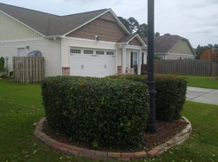 Bush Trimming by David Sosebee for Manny B. in Leland, NC
