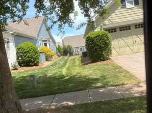 Michael O.'s Yard Cutting service result