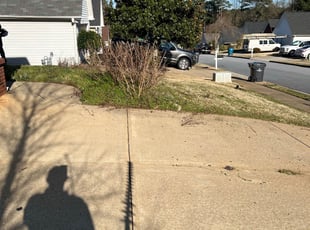 Bush Trimming by Maria Mauro for Vernon M. in Lawrenceville, GA