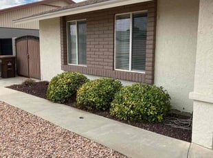 Bush Trimming by Brian Gibson for Sonya R. in Peoria, AZ