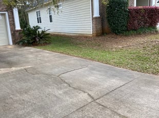 Cleanups by Zach Tyler for Nancy R. in Tallahassee, FL