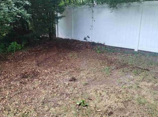 Cleanups by Steven Barron for Woody L. in Petersburg, VA