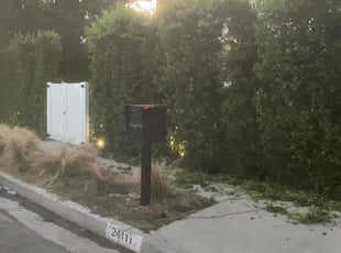 Bush Trimming by Leslie Dacumos for Michael E. in Los Angeles, CA