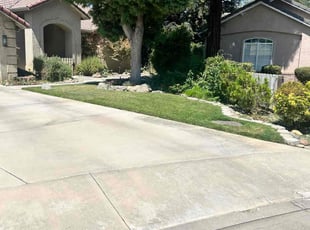 Aaron C.'s Yard Cutting service result