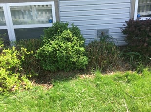 Landscaping by Sean Vatter for Matthew H. in Columbus, OH
