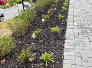 Cleanups by Conner Meadows for Christian H. in Atlanta, GA