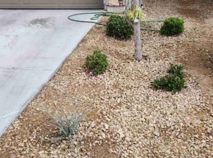 Weeding by Lamont Johnson for Rudy D. in Las Vegas, NV