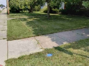 Alex B.'s Yard Cutting service result