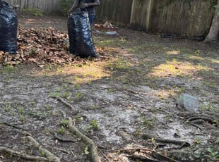 Leaf Removal by Delson Auguste for Hayley D. in Jacksonville, FL