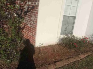 Weeding by Gregory Lewis for Chris H. in Walker, LA