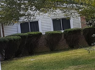 Bush Trimming by Phillip lemons for Maria B. in Cincinnati, OH