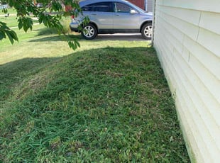 Weeding by Shawn Beardall for Shelley B. in Spanish Fork, UT