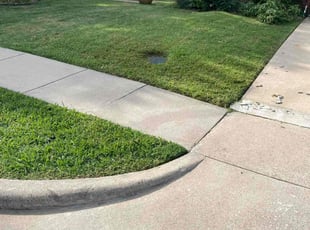 Roberto R.'s Lawn Mowing service result