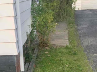 Bush Trimming by Charles Hinton for Denise W. in Euclid, OH