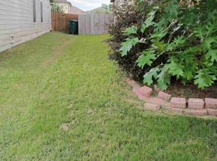 Weeding by Roddy Castillo for Brooke M. in Converse, TX
