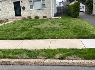 Stanley P.'s Lawn Mowing Service service result