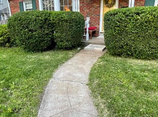 Bush Trimming by Bryan Scarborough for Mary S. in Webster Groves, MO