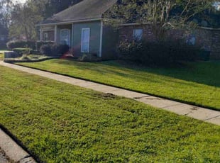 Janenne A.'s Lawn Mowing service result