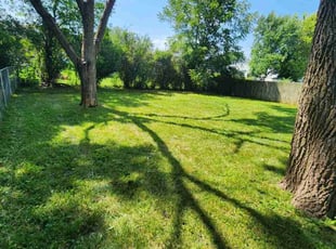 Adeline K.'s Lawn Maintenance service result