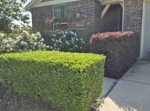 Michael Y.'s Lawn Care service result