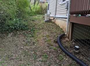Cleanups by Hayden Jensen for Katy T. in Asheville, NC