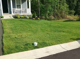 Elder Jesse S.'s Lawn Service service result
