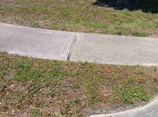 Weeding by Efrain Perez for Lawrence Z. in Cypress, TX
