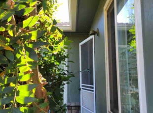 Bush Trimming by Miguel Rodriguez for Robert J. in Stockton, CA