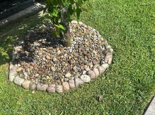 Weeding by Quinton Davis for Michael W. in Davenport, FL