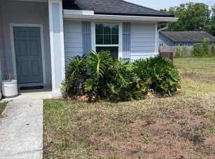 Bush Trimming by Vee Primus for Erika C. in Jacksonville, FL