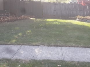 Leaf Removal by David Walton for Donald E. in Reynoldsburg, OH