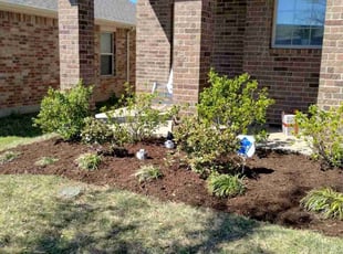 Weeding by John Brown for April L. in Princeton, TX
